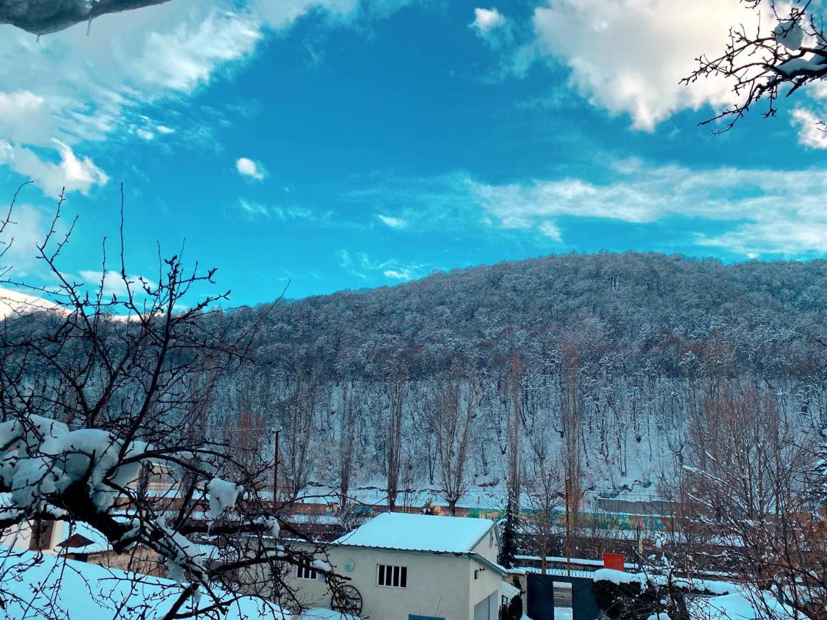 Green Garden B&B Dilijan Exterior foto