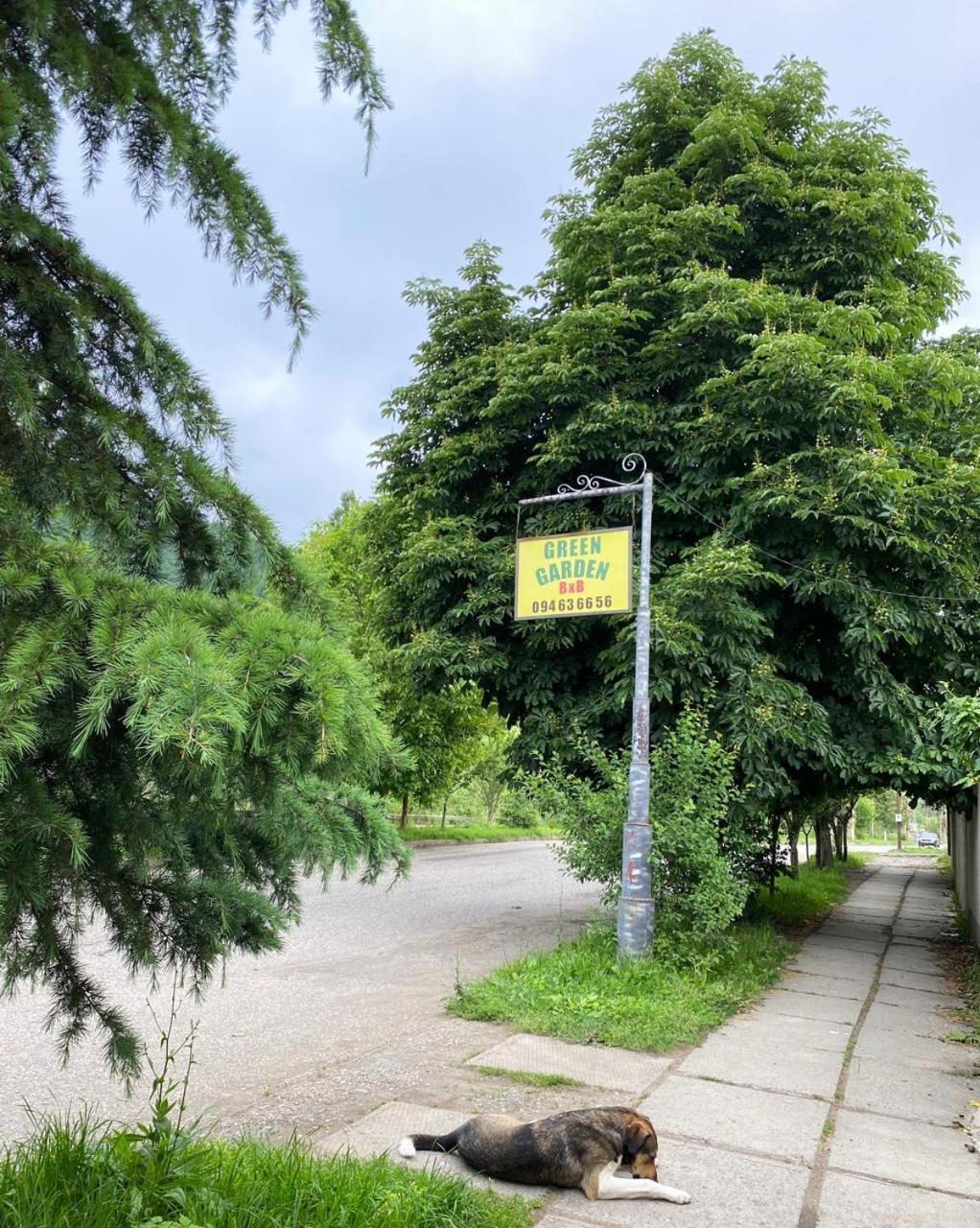Green Garden B&B Dilijan Exterior foto